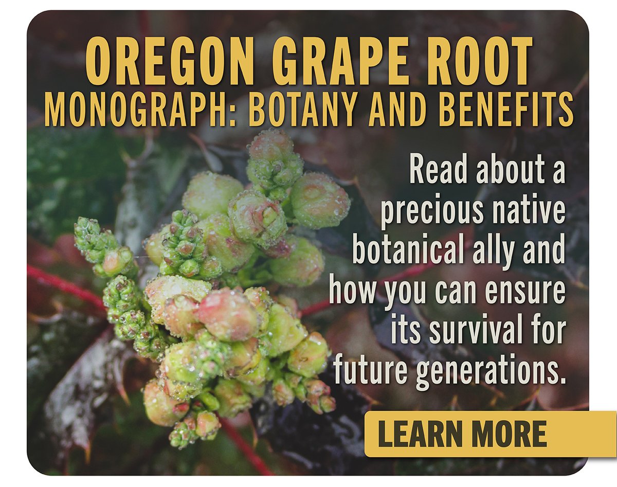Oregon Grape Monograph