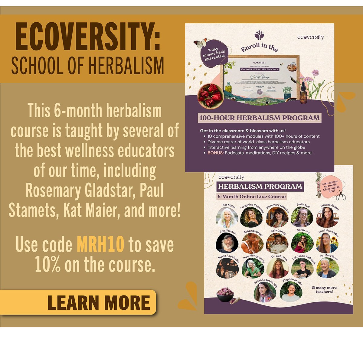 Ecoversity: Learn More About This 6-Month herbal Course 