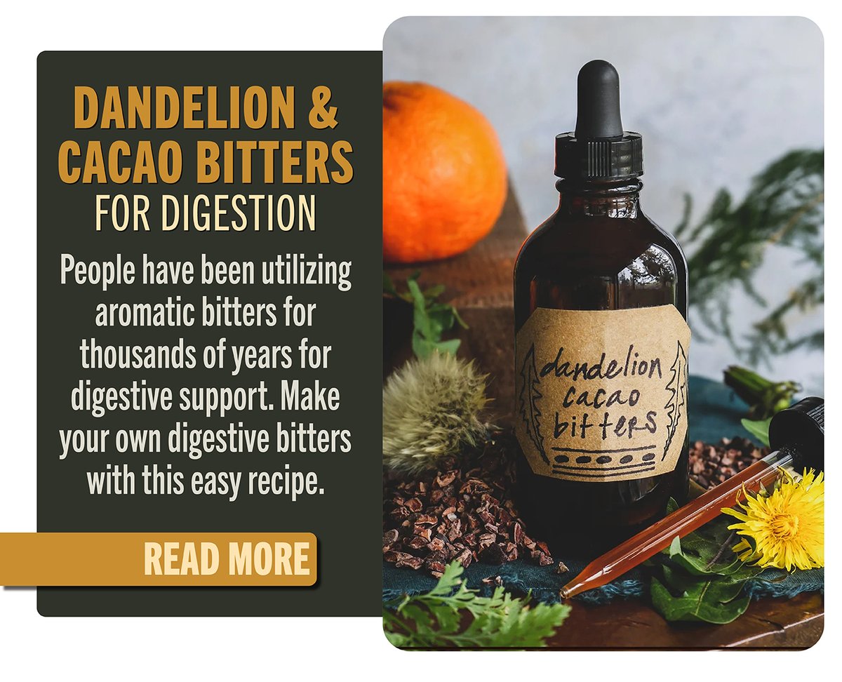 Dandelion and Cacao Bitters