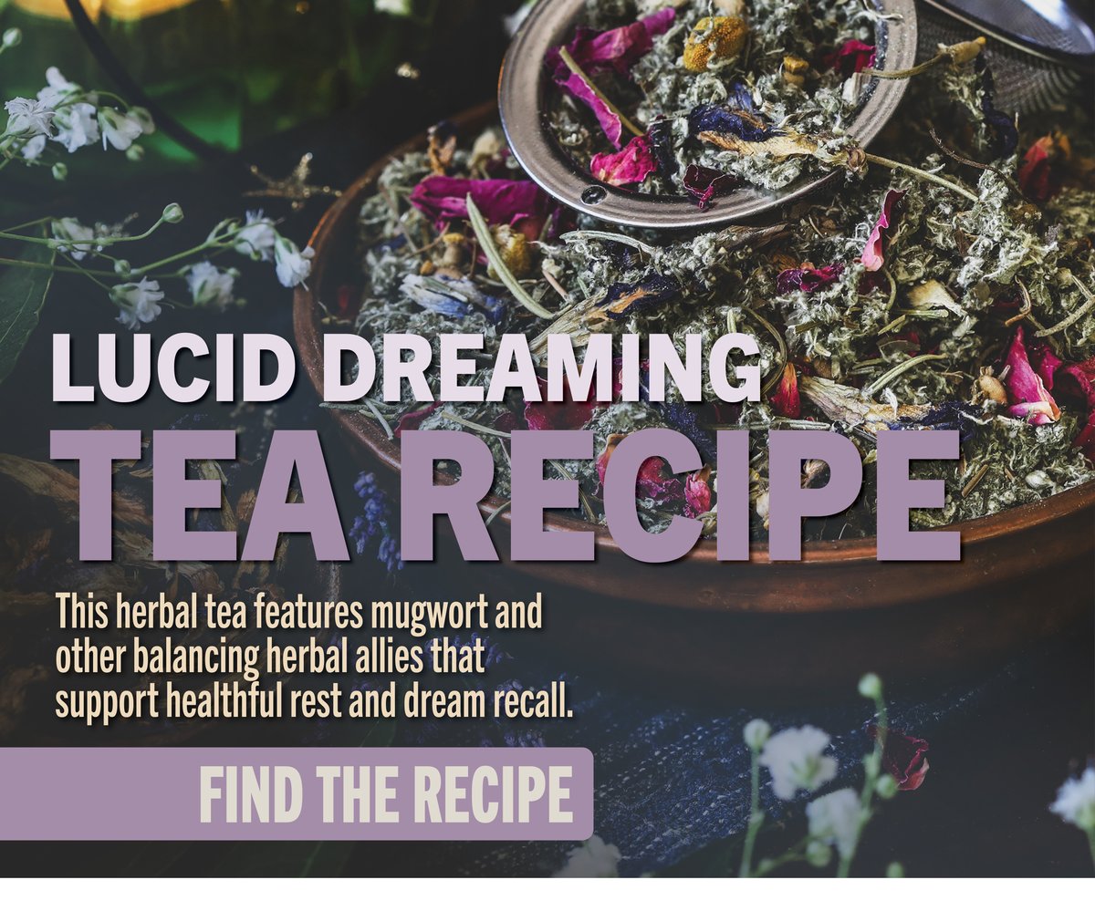 Lucid Dreaming Tea Recipe
