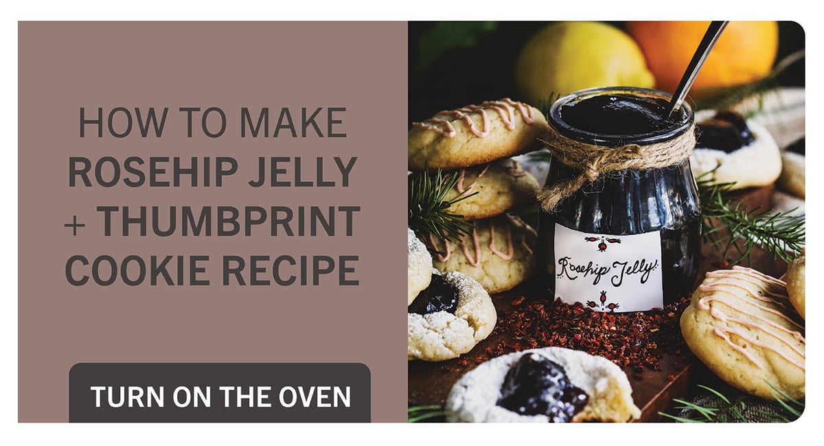 How to make rosehip jelly and thumbprint cookie. 