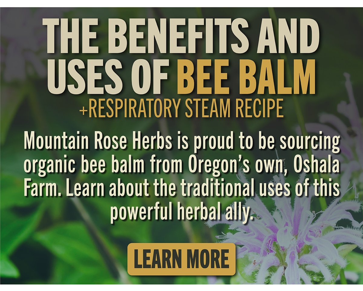 The Benefits and Uses of Bee Balm 