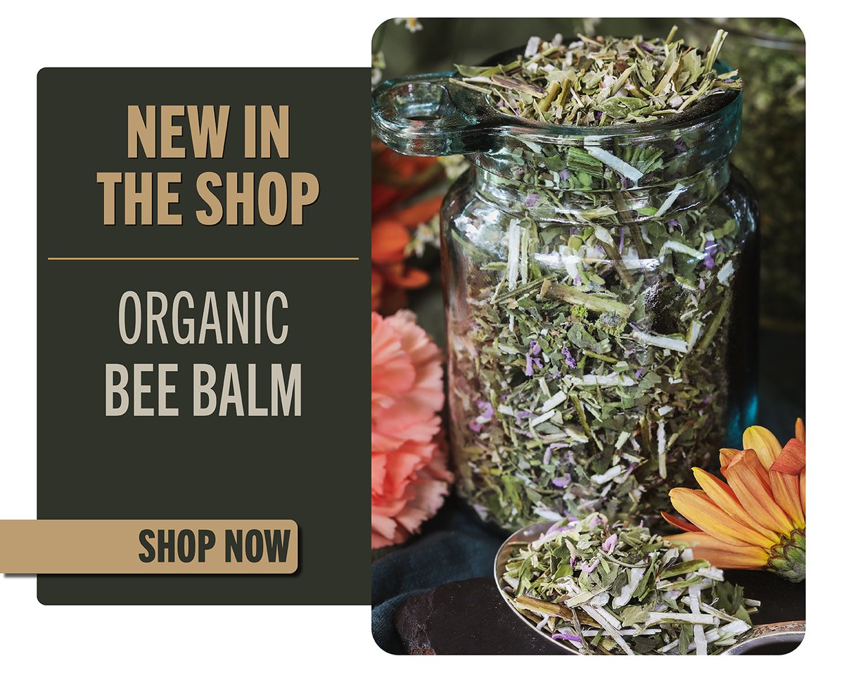 New in the shop- Organic Bee Balm