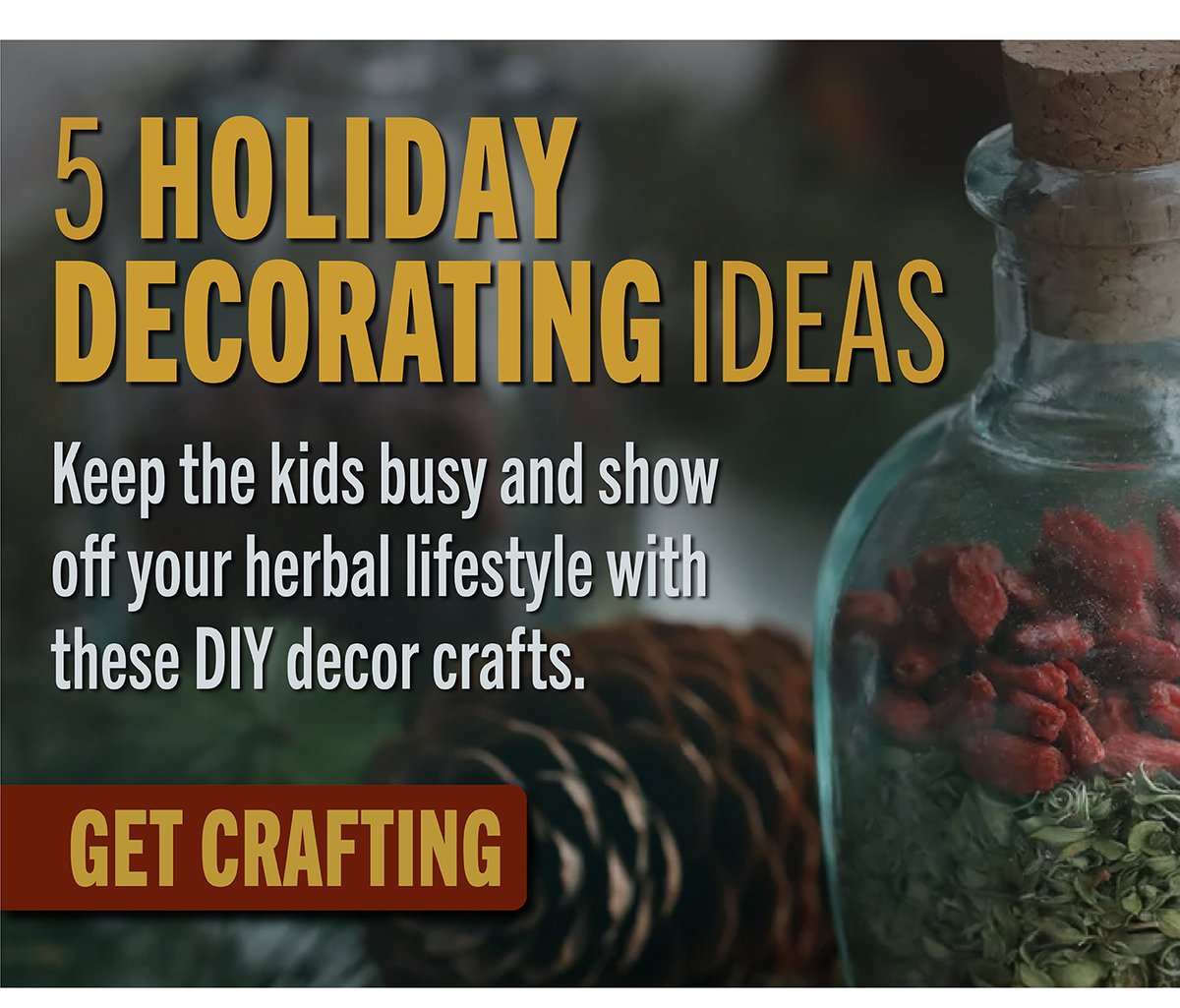 5 Holiday Decoration Ideas