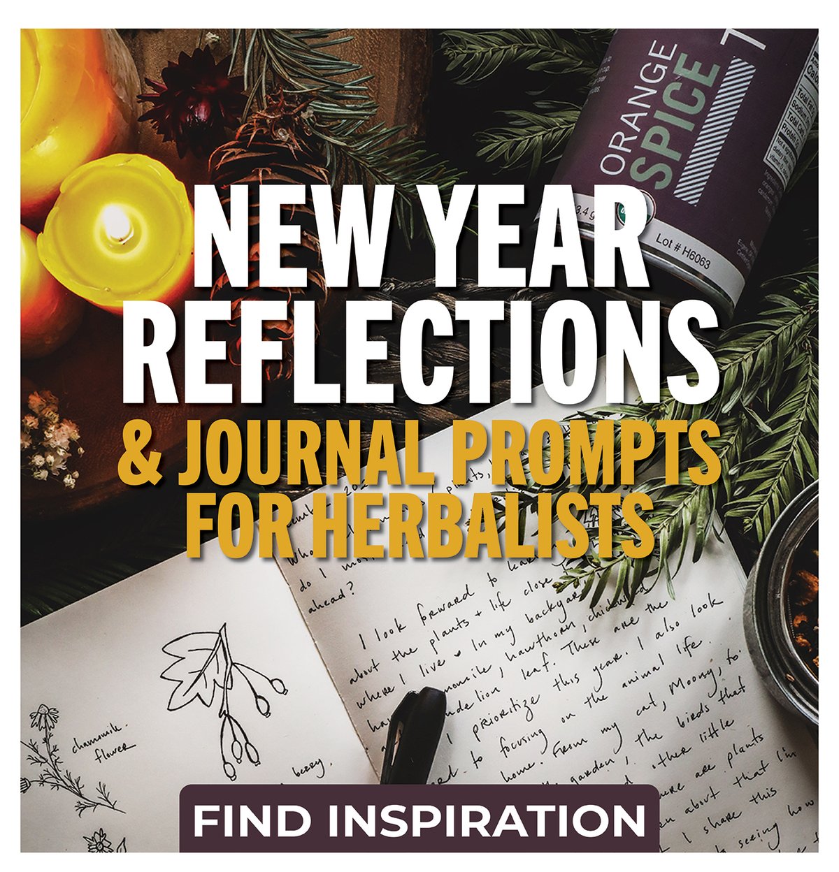 New Year Reflections & Journal Prompts