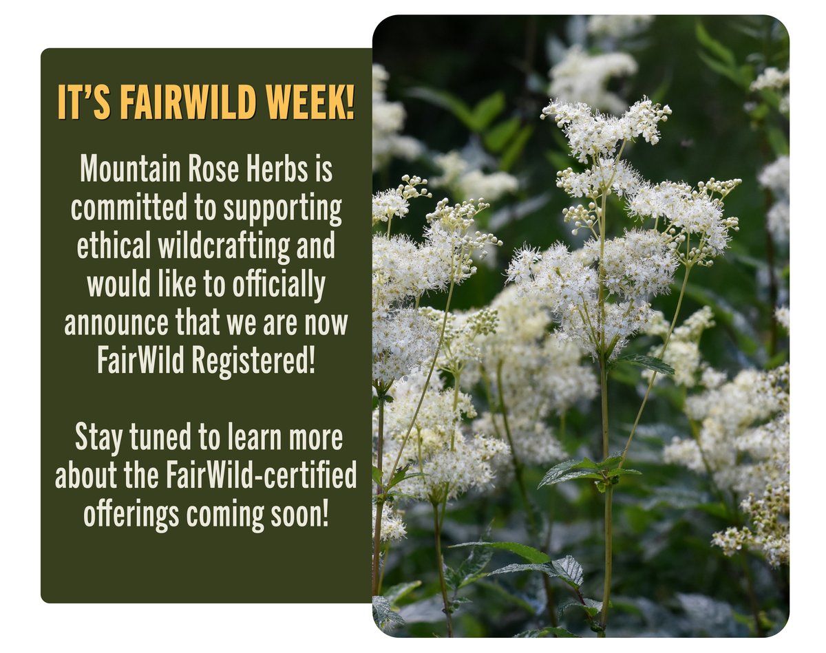FairWild Week!