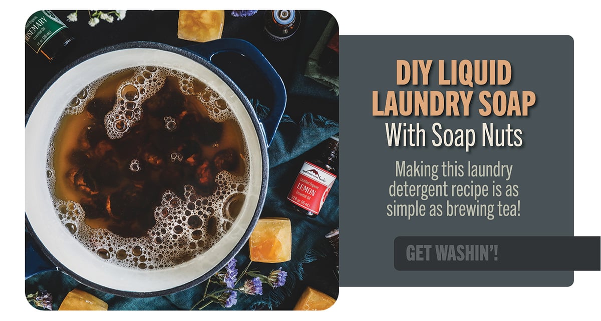 DIY Liquid Laundry Soap