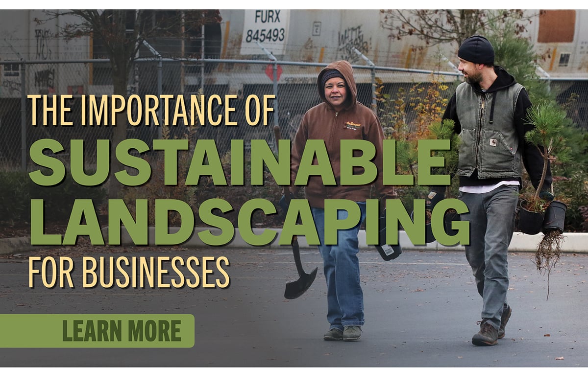 The Importance of Sustainable Landscaping for Business