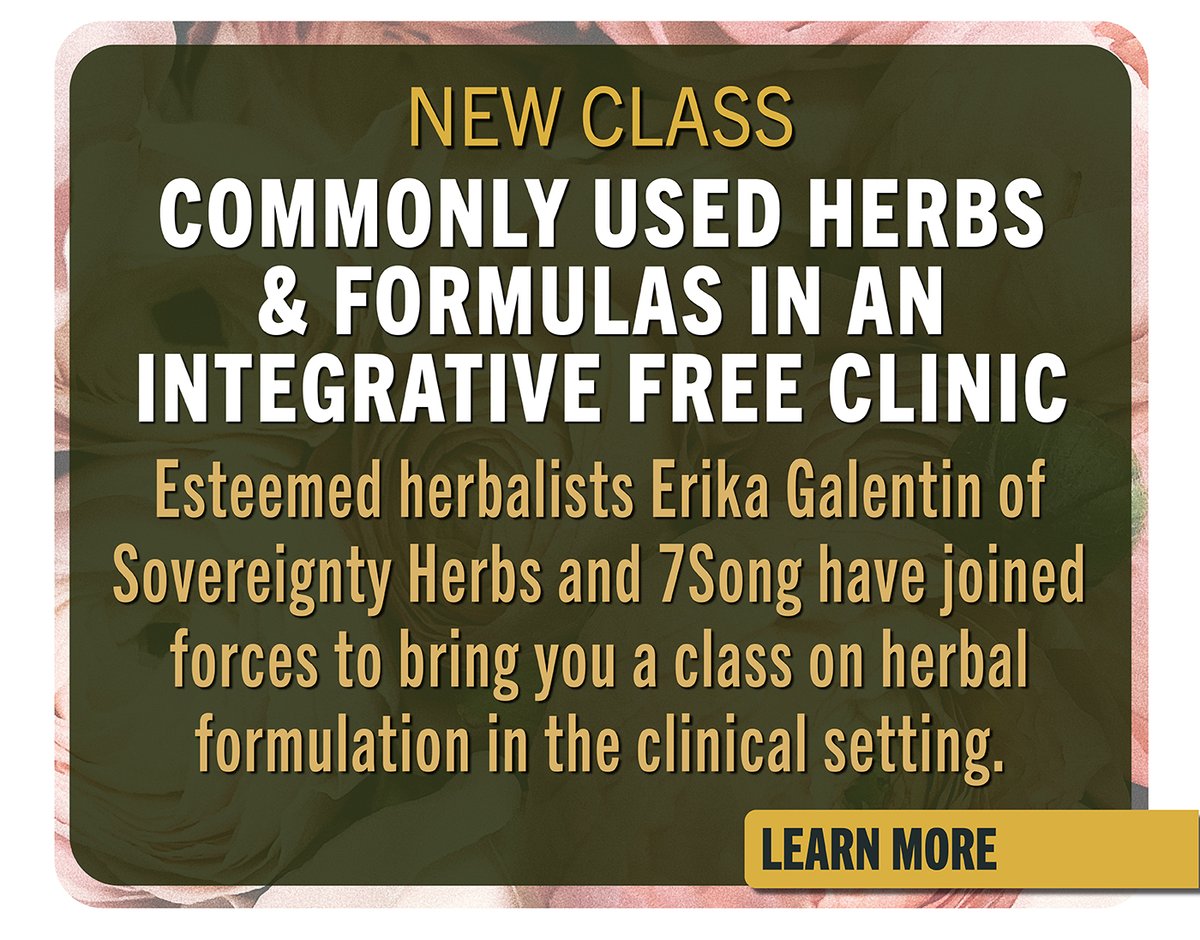 DIY Menthol Chest Rub Recipe Mountain Rose Herbs