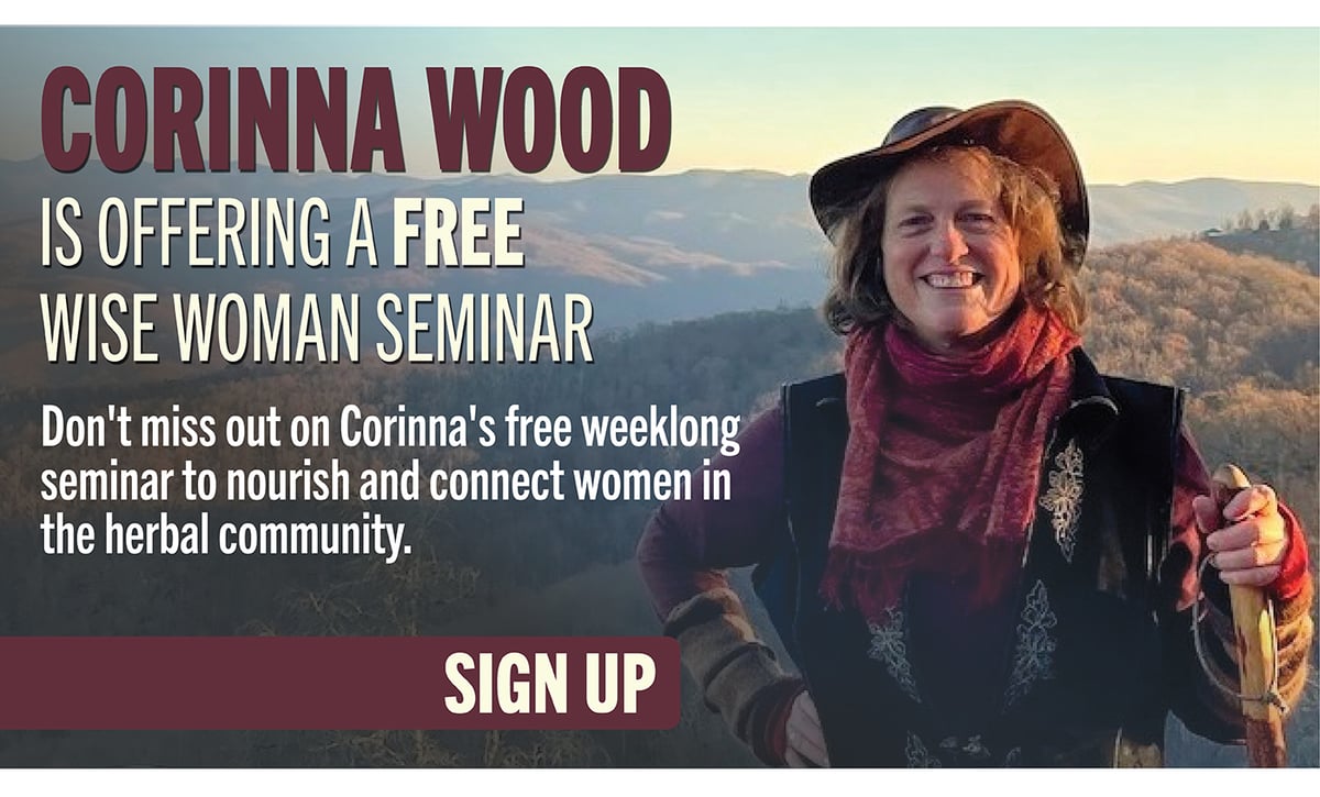 Corinna Wood is offering a FREE wise woman seminar!