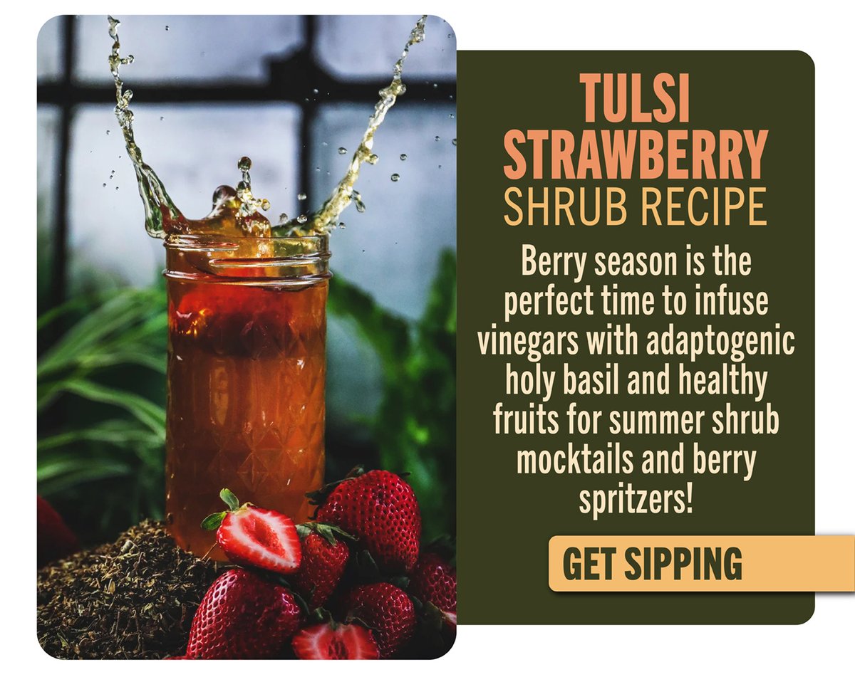 Tulsi Strawberry Shrub Recipe