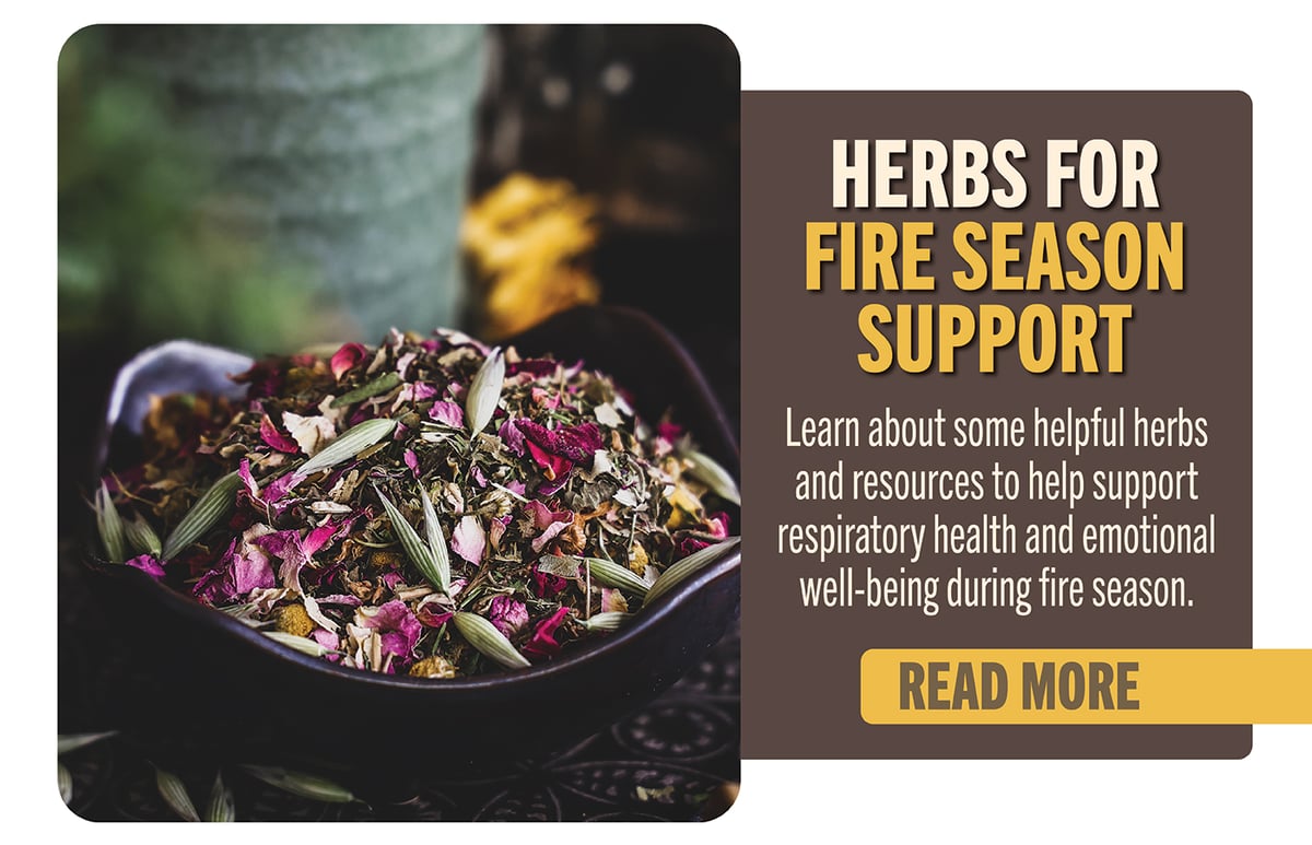 Herbs for Fire Season Support