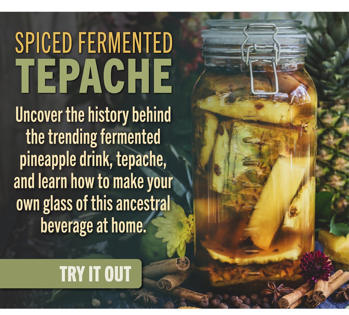 Spiced Fermented Tepache Recipe