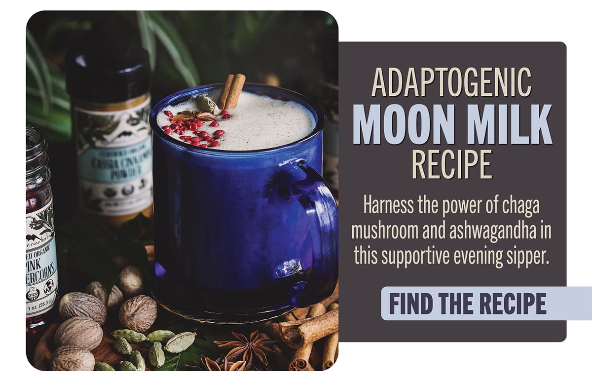 Adaptogenic moon milk with ashwagandha and chaga mushroom 