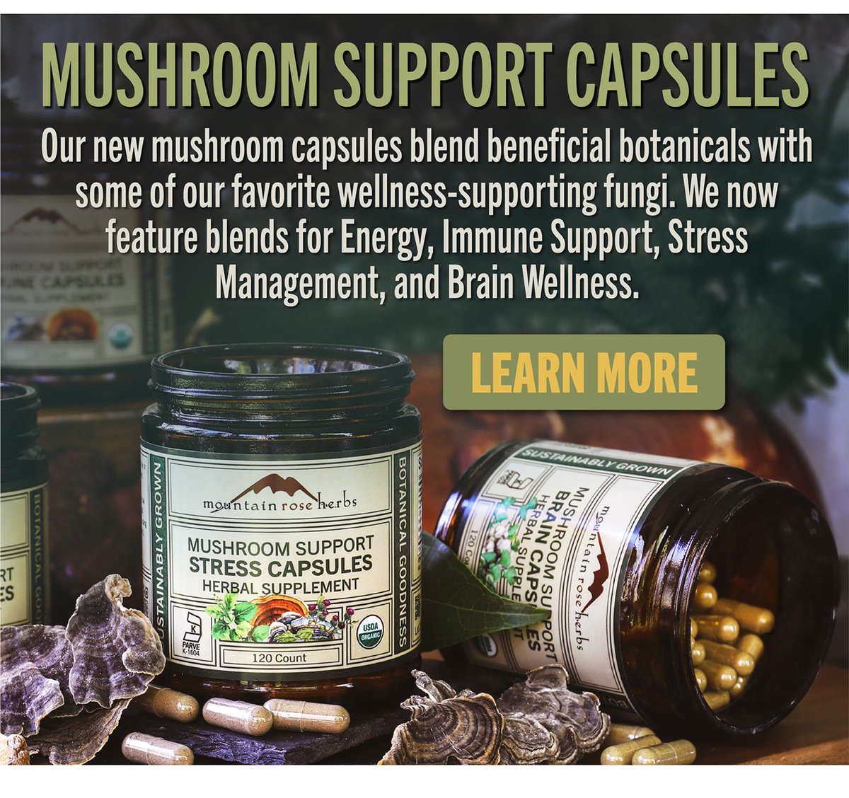 Mushroom Support Capsules