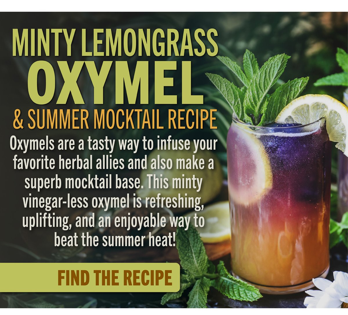 Minty Lemongrass Oxymel Recipe 