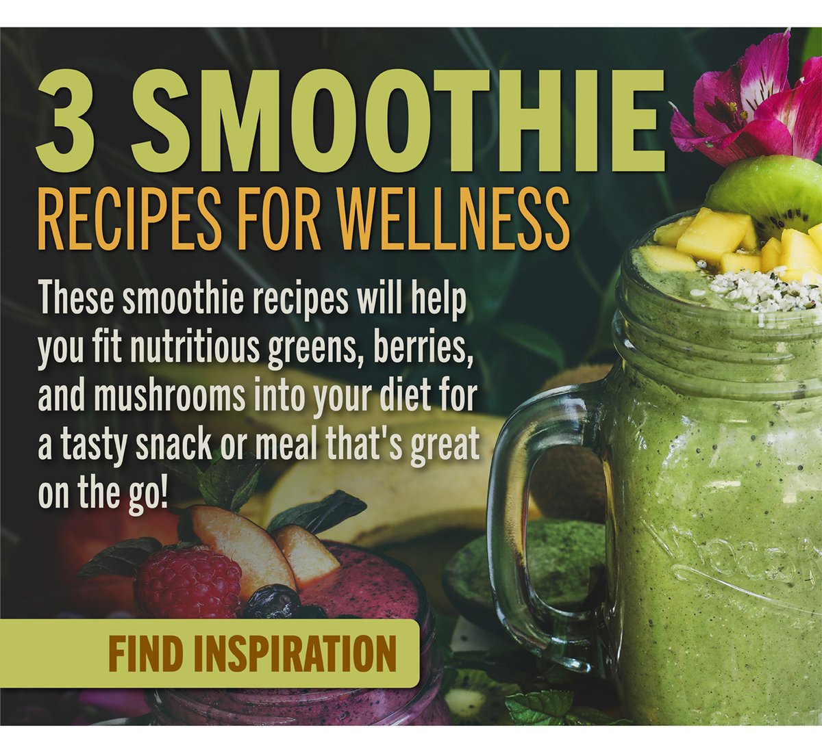 3 Smoothie Recipes for Wellness
