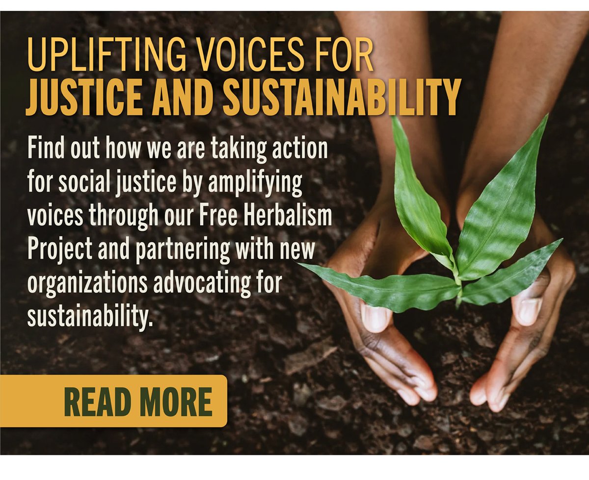 Uplifting Voices for Justice and Sustainability 