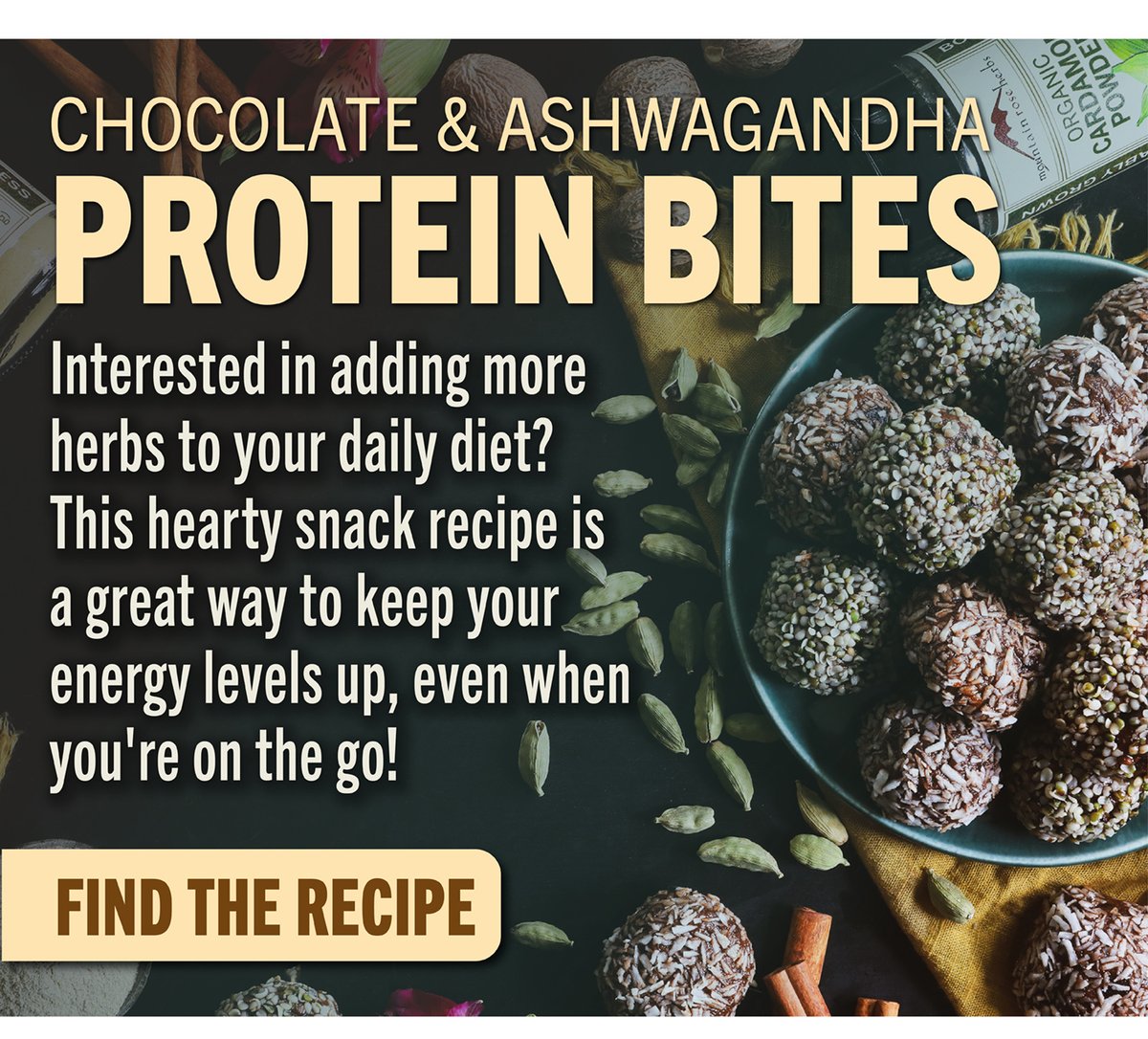 Chocolate & Ashwagandha Protein Bites