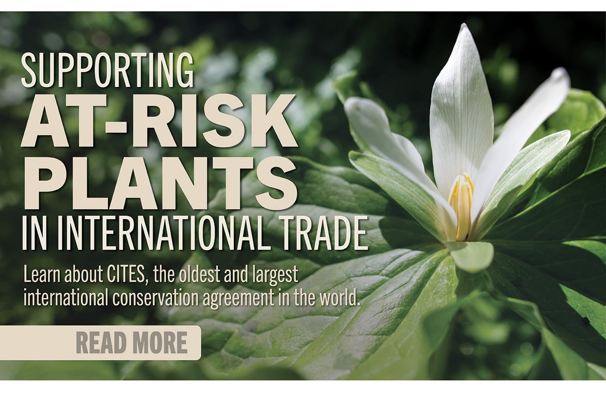 Supporting At-Risk Plants In International Trade