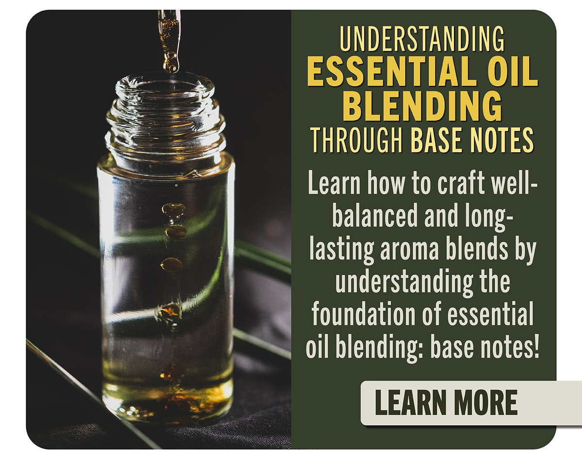 Essential Oil Blending: Understanding Base Notes
