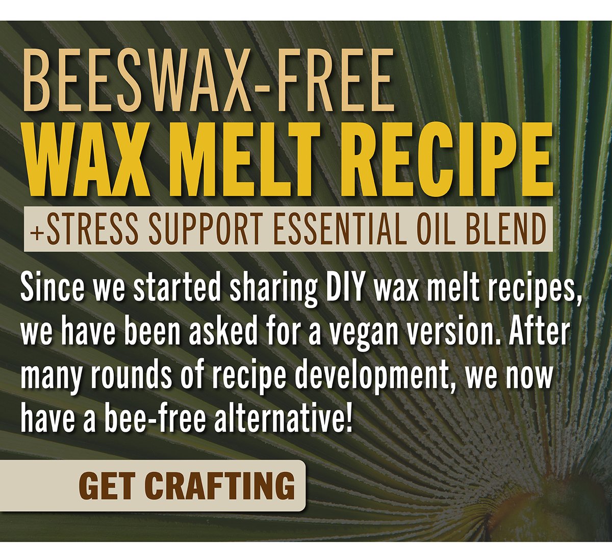 Beeswax Free Wax Melts