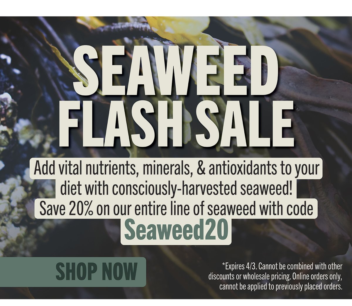Seaweed Flash Sale- Save 20%!