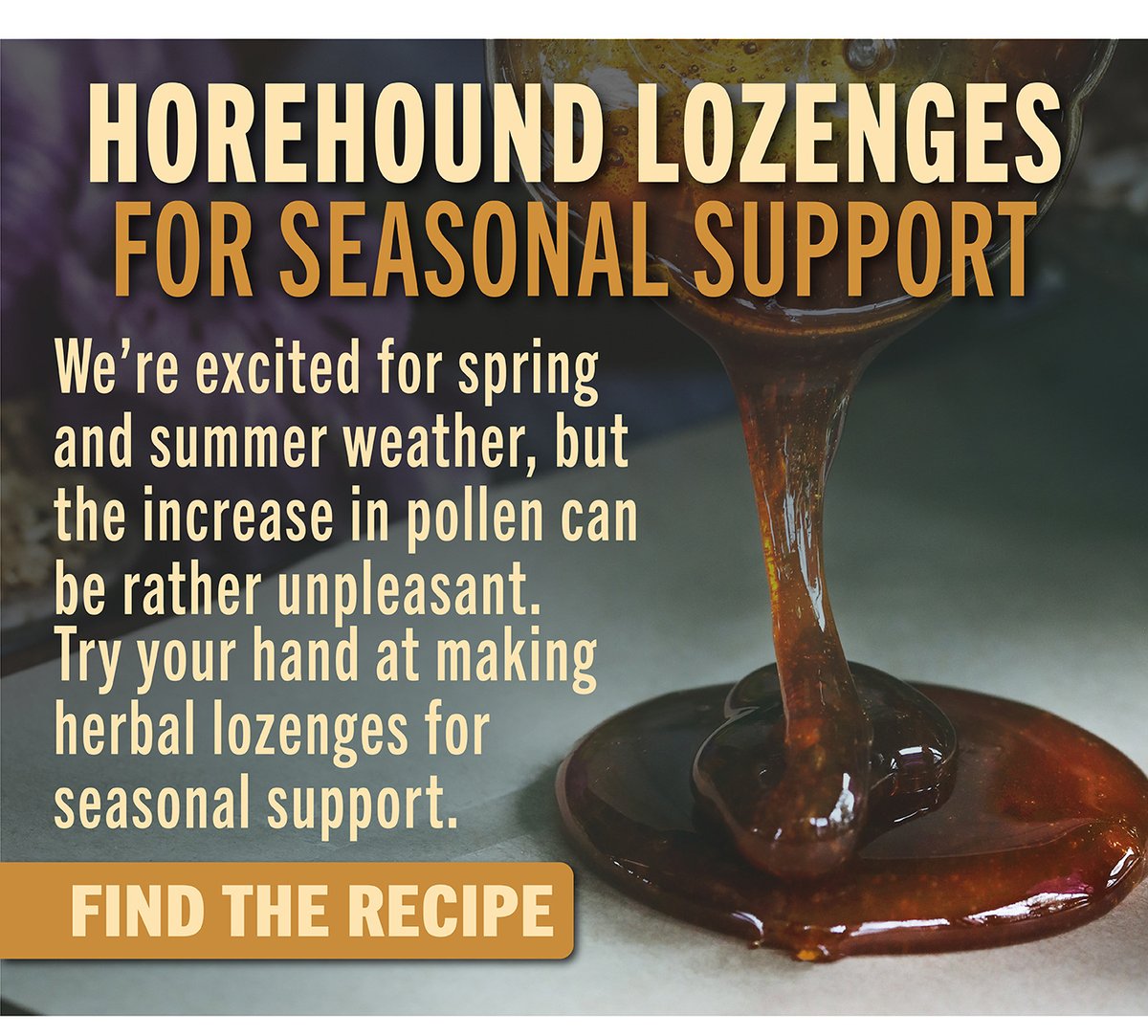 Horehound Seasonal Lozenges