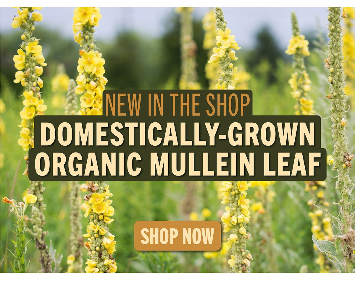 new in the Shop: Domestically-Grown Organic Mullein Lewaf