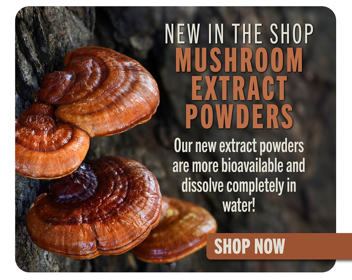 NEW Mushroom Extract Powders