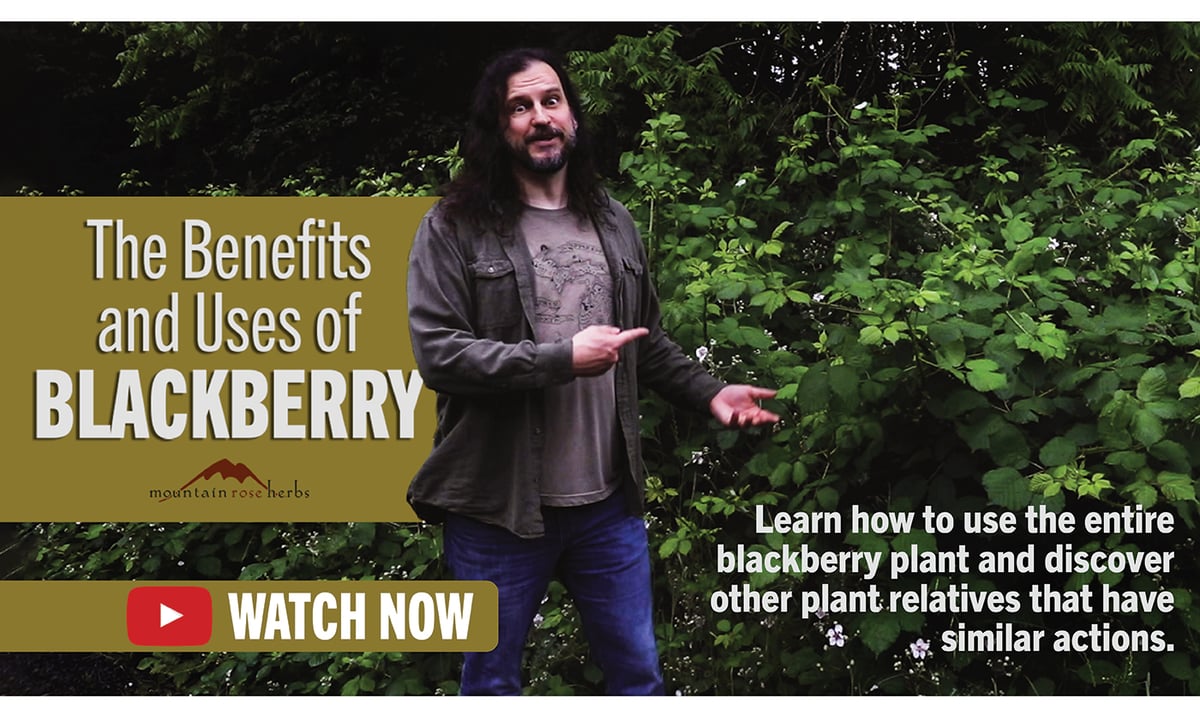 The benefits and uses of blackberry.
