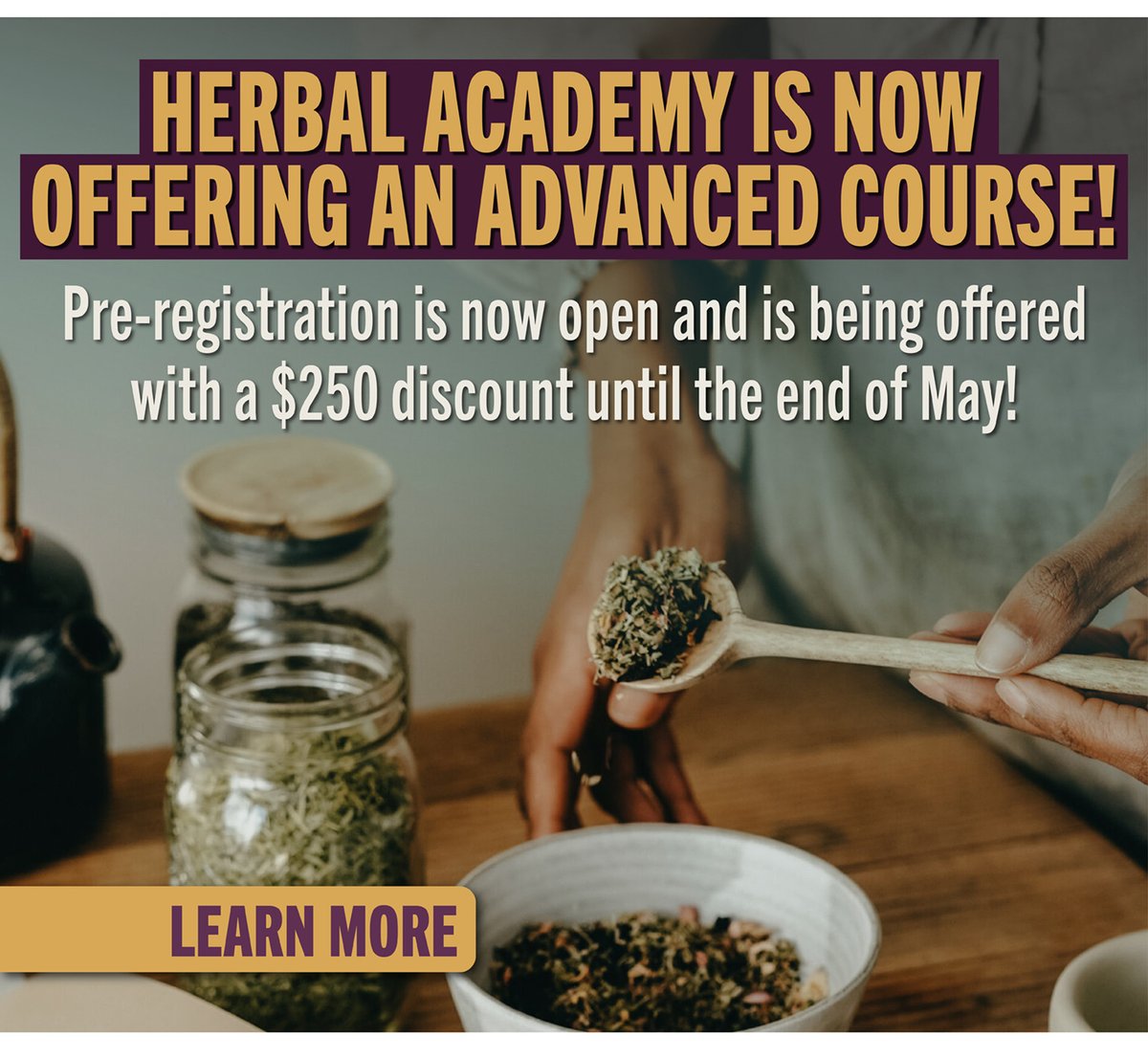 Herbal Academy is now offering an advanced course. 