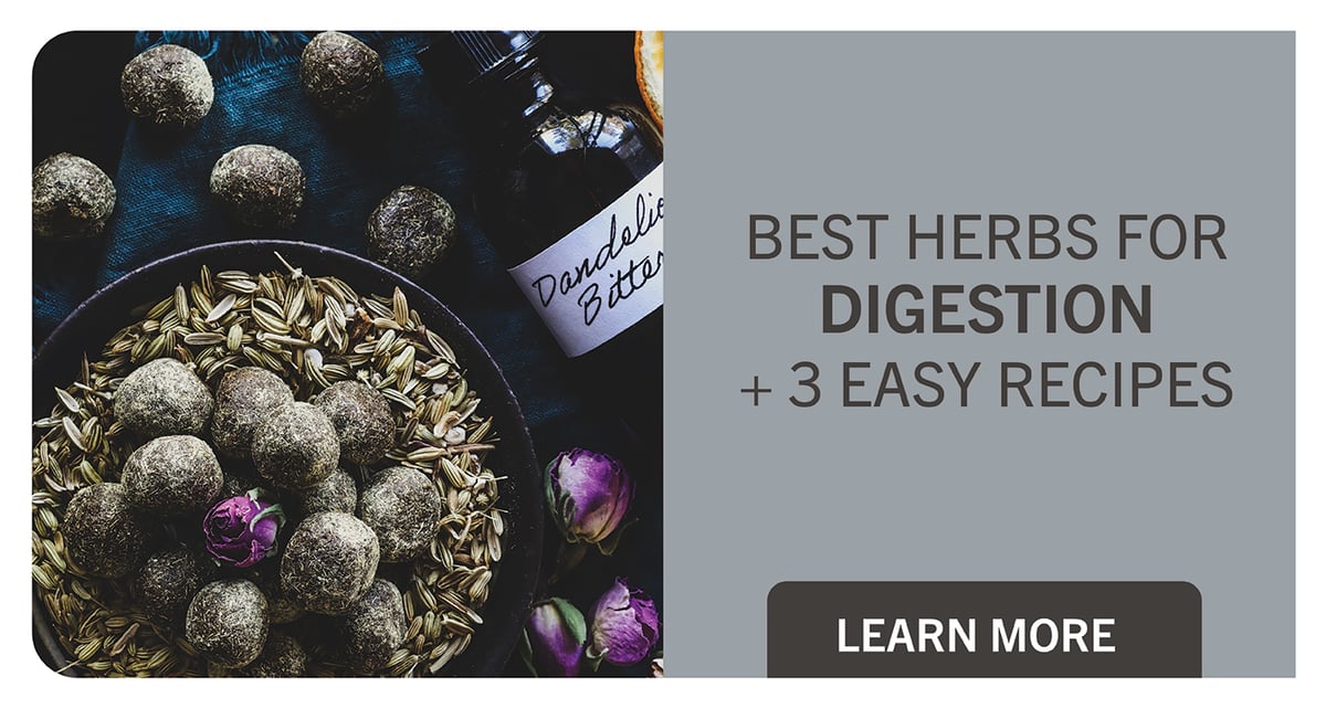 Best Herbs for digestion- Learn More