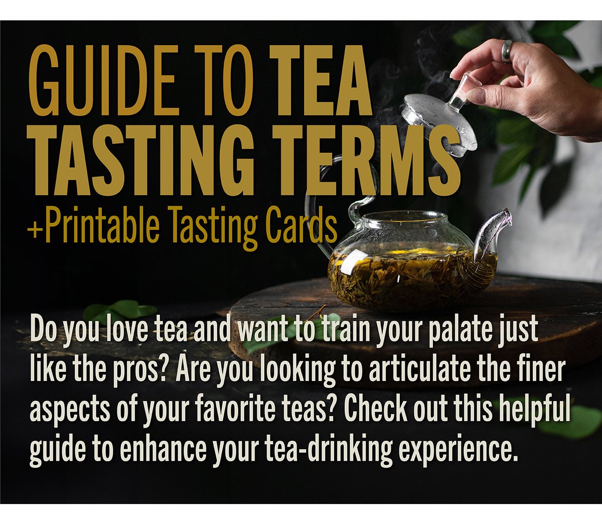 Guide to Tea Tasting Terms