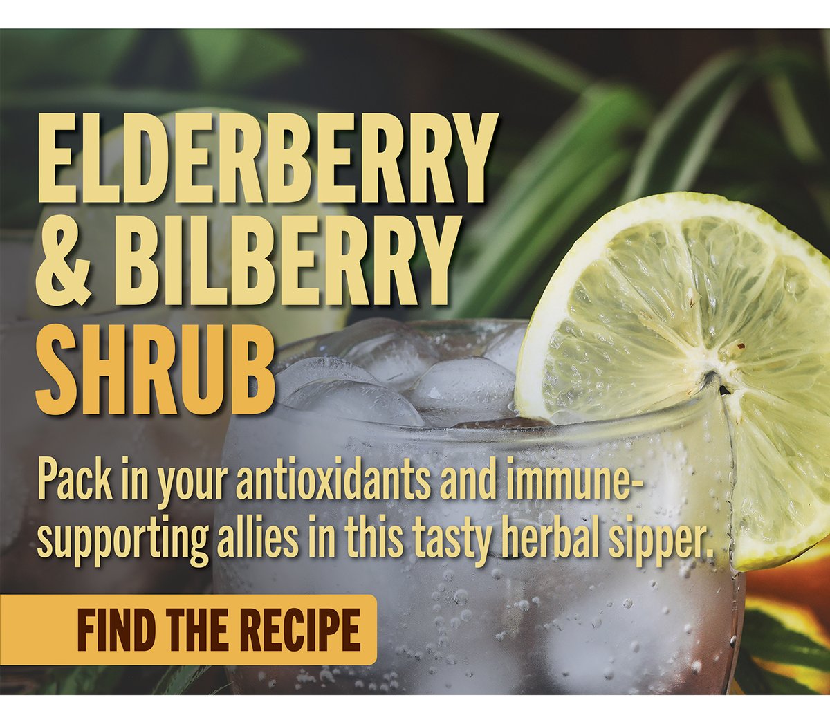 Elderberry and Bilberry Shrub Recipe