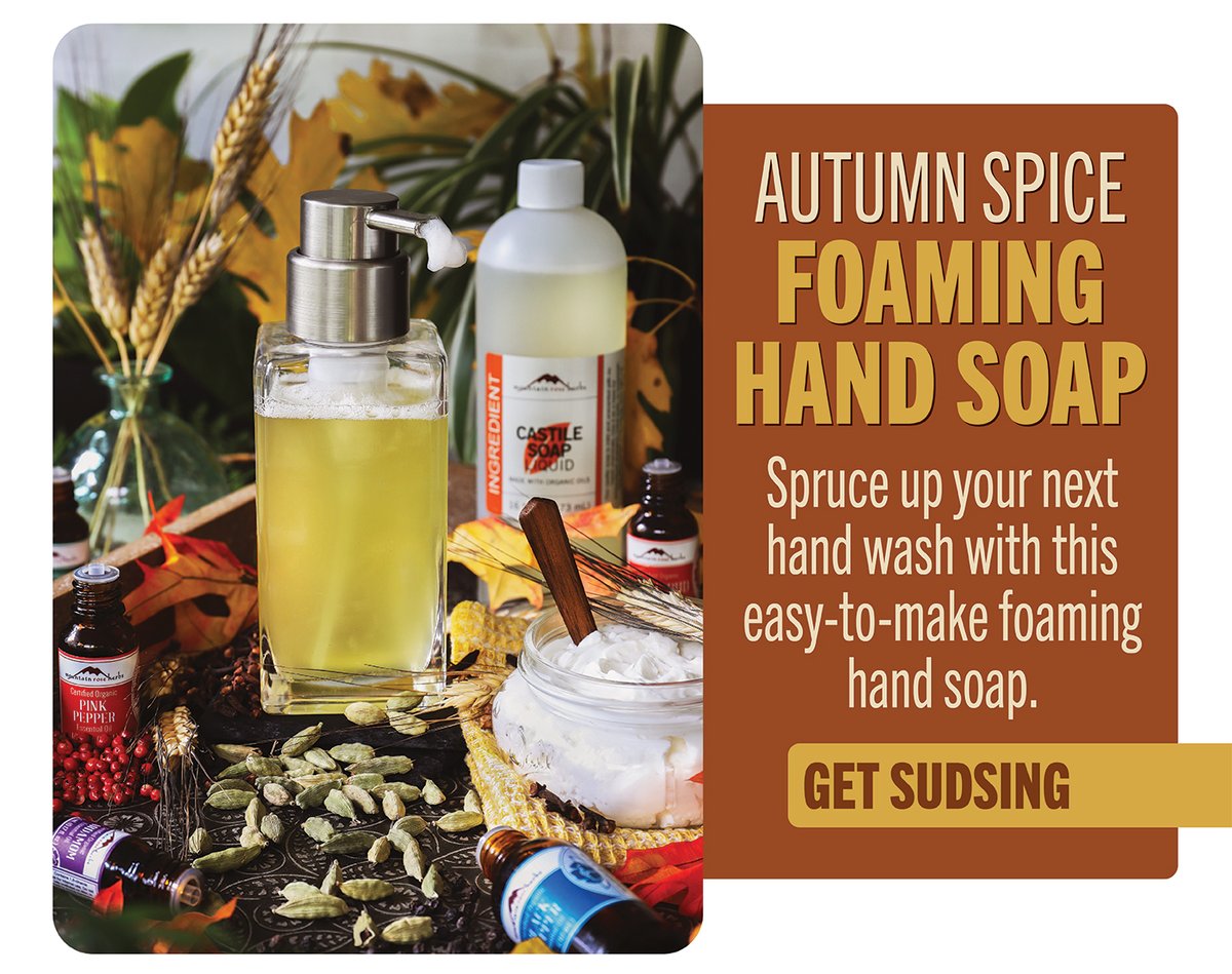 Autumn Spice Foaming Hand Soap 