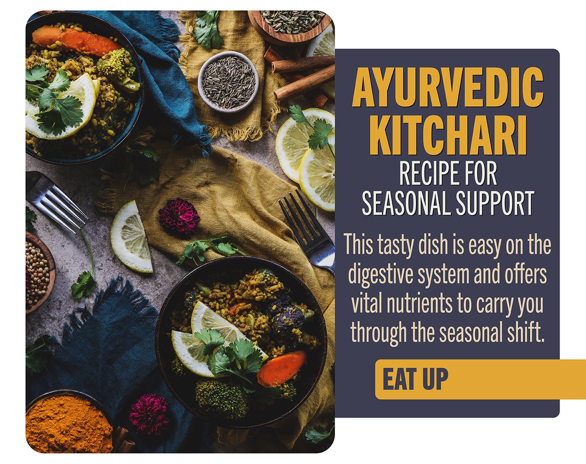 Ayurvedic Kitchari Recipe