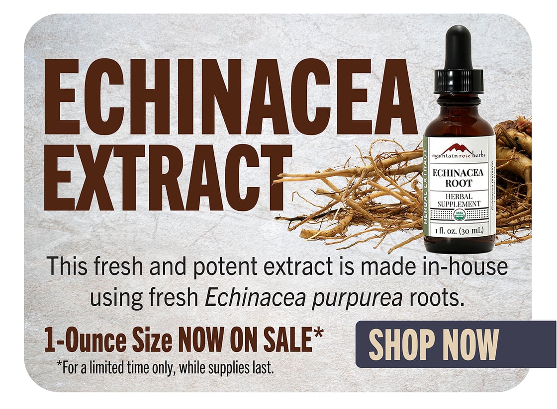 Echinacea Extract- Now on Sale