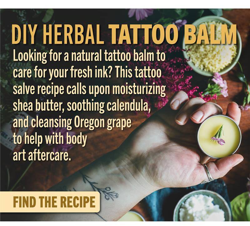 DIY Herbal Tattoo Balm