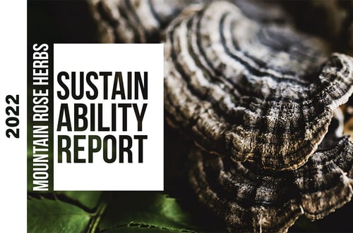 sustainability-report-cover